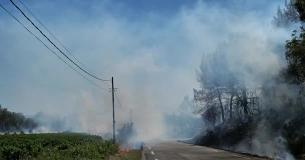 Глобальное потепление, пожар в сельской местности, южная Франция - Кадры, видео