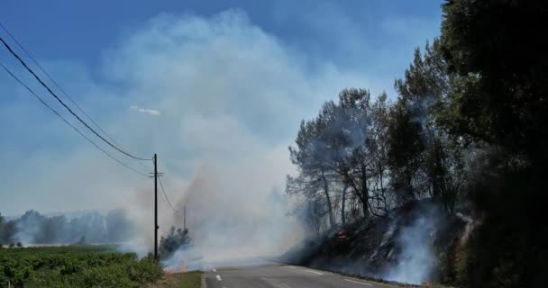 Globalne ocieplenie, pożar na wsi, południowa Francja - Materiał filmowy, wideo