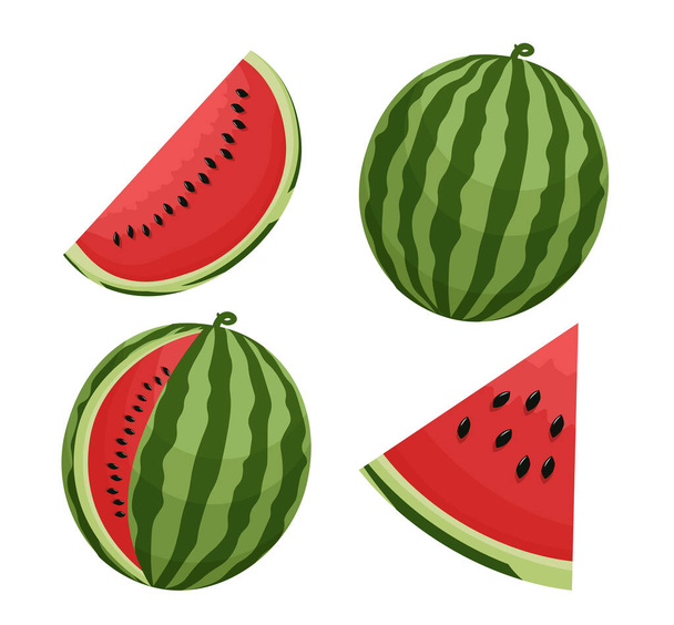 Set of 4 watermelon parts cartoon vector illustration. Whole watermelon, slices. Melon. Exotic fruit on white background. - Vector, Imagen