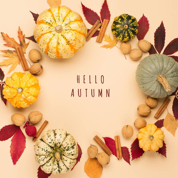 カボチャ、ナッツ、乾燥した葉で秋の休日の組成紙ベージュ色の背景に。創造的な秋、感謝祭、秋、ハロウィンのコンセプト。トップビュー、コピースペース、フラットレイアウト. - 写真・画像