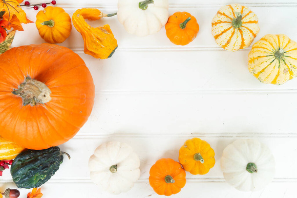 White and orange pumpkins with fall leaves, frame on white wooden background, top view - Foto, immagini