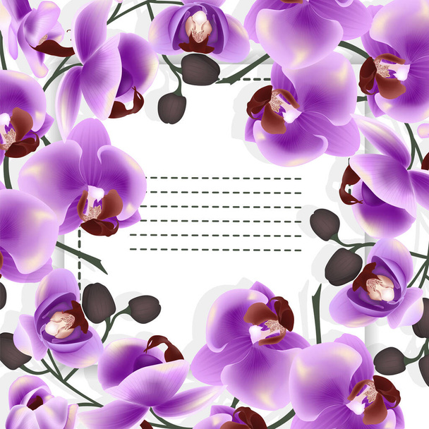 цветы и листья орхидей, векторная иллюстрация - Вектор,изображение