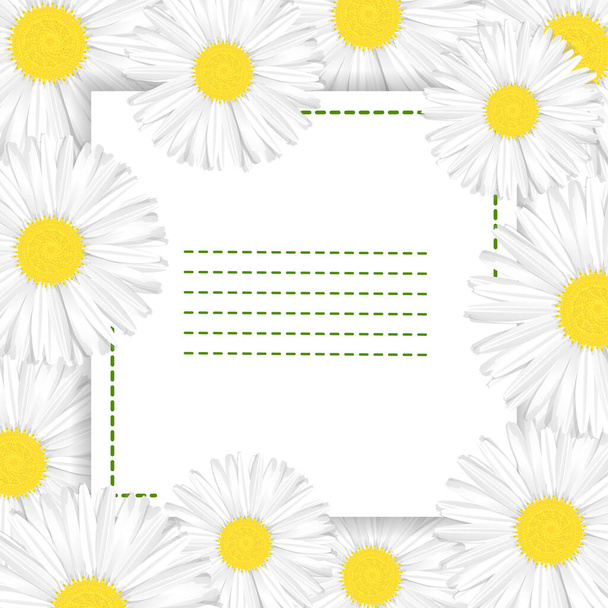 квіти і ромашки на білому тлі
 - Вектор, зображення