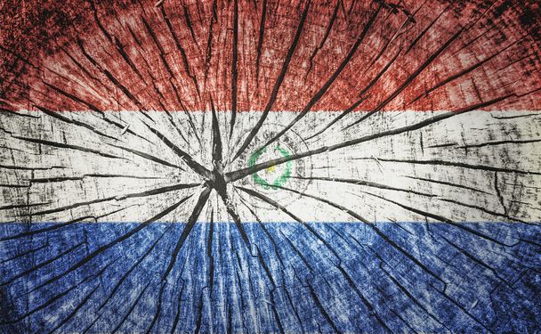 パラグアイの旗 - 写真・画像