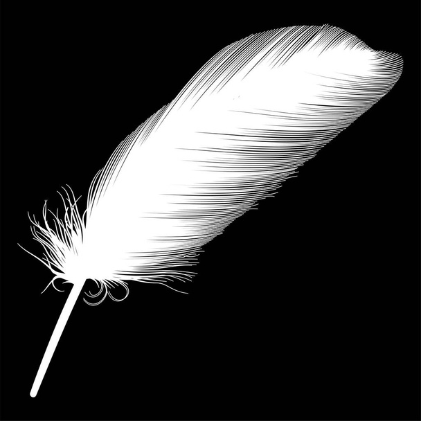 feather icon. black and white illustration. - Vektor, kép
