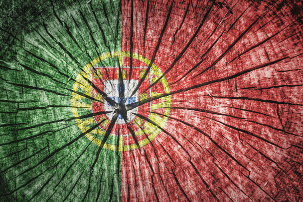 Portugália zászlaja - Fotó, kép
