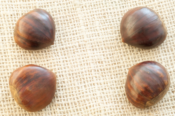 chestnut - Photo, Image