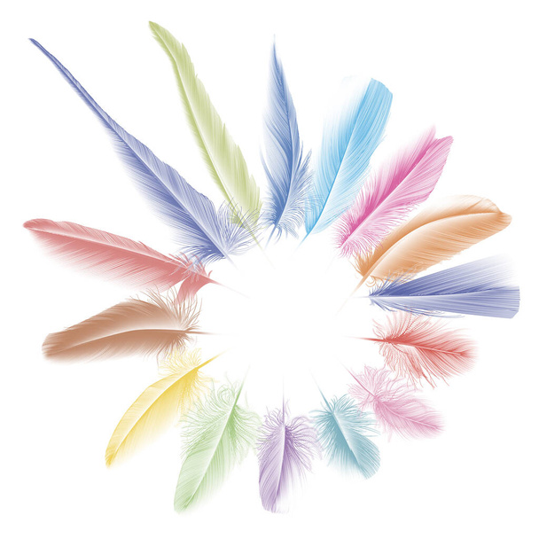 feather of feathers with clipping path - Vector, Image