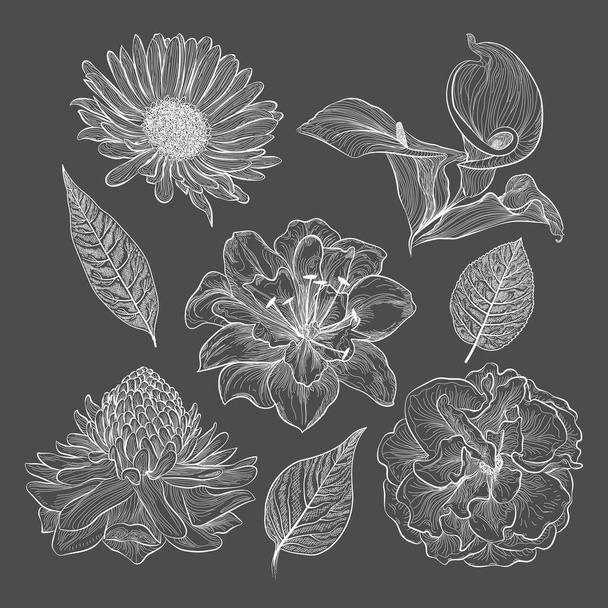 Zestaw ręcznie rysowanych elementów kwiatowych - Wektor, obraz
