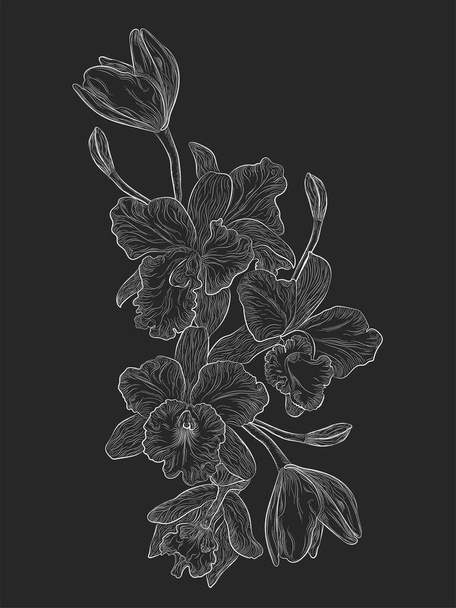 Handgezeichnete Vektorskizze von Blumen auf schwarzem Hintergrund - Vektor, Bild