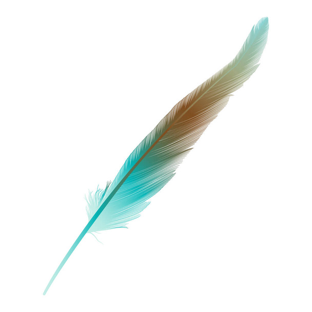 vector illustration of bird feather icon - Vektor, Bild