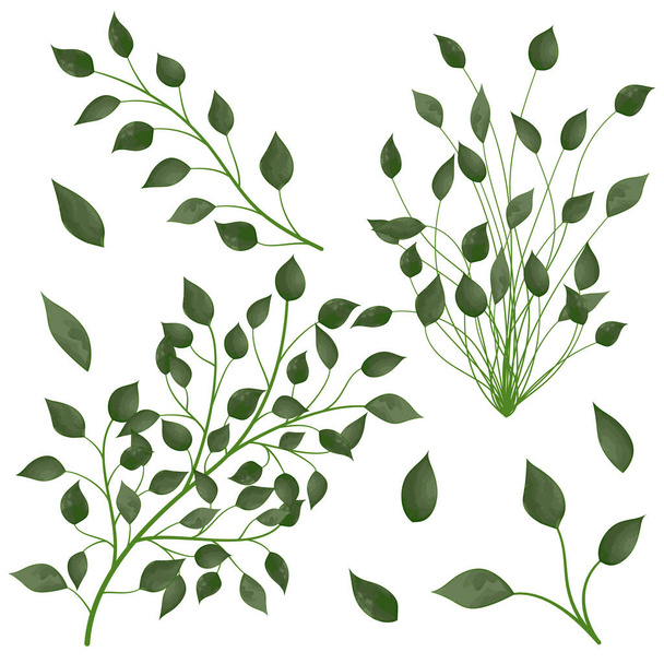 beautiful botanical pattern illustration - Vektor, obrázek