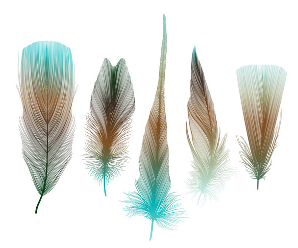 plumes de plumes. illustration vectorielle dessinée à la main. - Vecteur, image