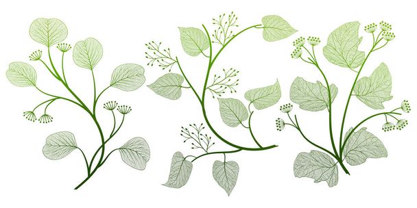 vector illustration of green leaves - Wektor, obraz