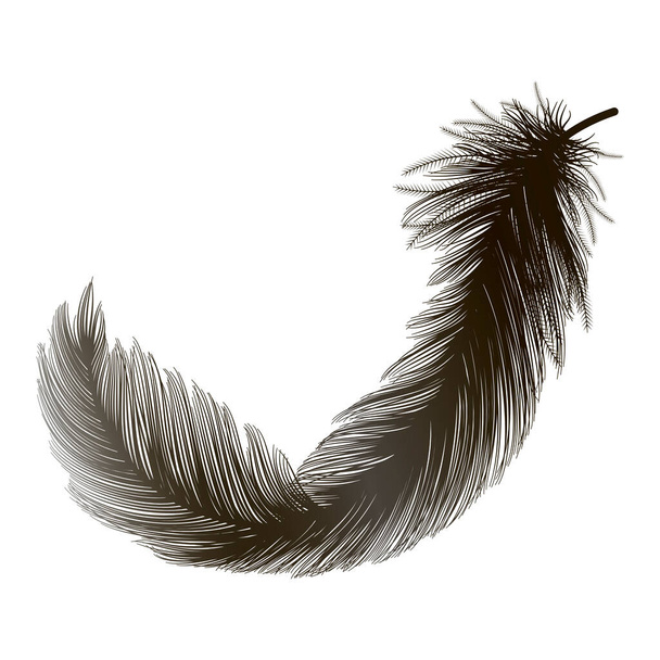 feather icon vector illustration - Vektori, kuva