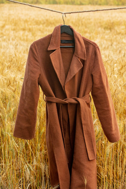 Brown coat on rope in yellow wheat field - Zdjęcie, obraz