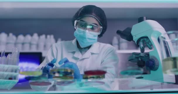 Female scientist modifying and mixing chemicals in a research lab. A chemist creating a cure or treatment for the coronavirus. A healthcare researcher developing a covid vaccine during the pandemic. - Záběry, video
