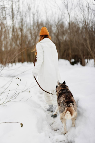 mulher alegre na neve brincando com um cão husky diversão amizade ar fresco. Foto de alta qualidade - Foto, Imagem
