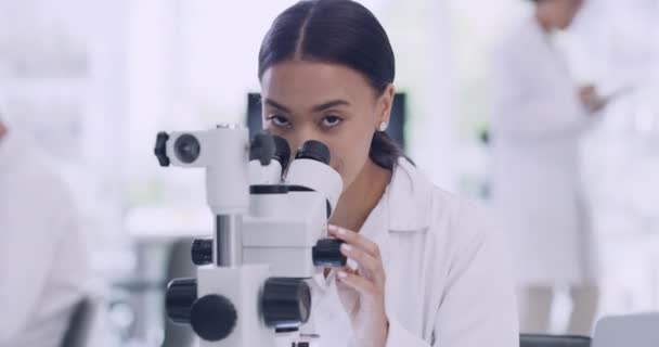 Portrait of a female scientist using a microscope in a laboratory. A healthcare professional analyzing samples for researching a vaccine cure in a scientific health facility, a passion for biology. - Video