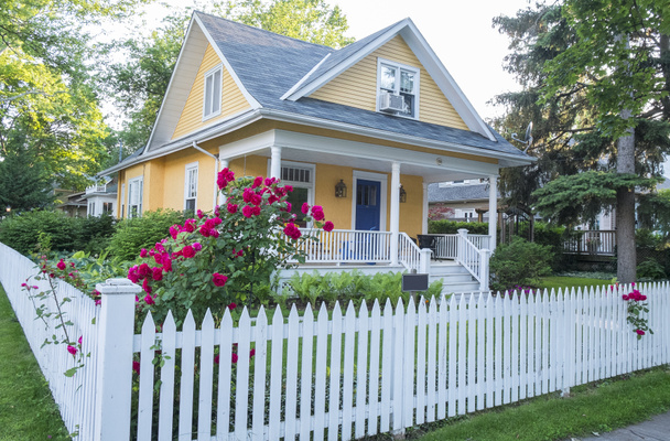 Жовтий будинок з рожевим Роза Буша перед - Фото, зображення