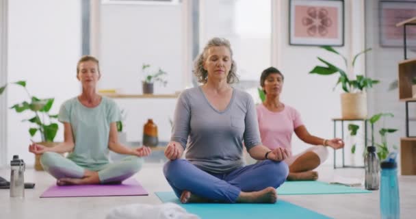 Volwassen vrouwen mediteren in lotus poseren in zen yoga klasse. Diverse groep yogi 's zitten samen op matten, benen gekruist, innerlijk geestelijk evenwicht en vrede vindend. Oefenen kalmerende ademhalingsoefeningen. - Video