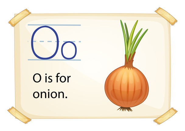 A letter O for onion - Vector, Image