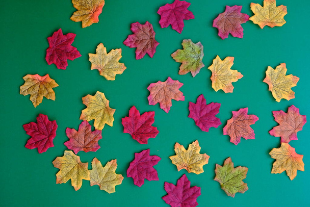 Autumn leaves over colorful background  - Foto, Imagen
