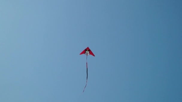 De vlieger is vliegen in de lucht - Video
