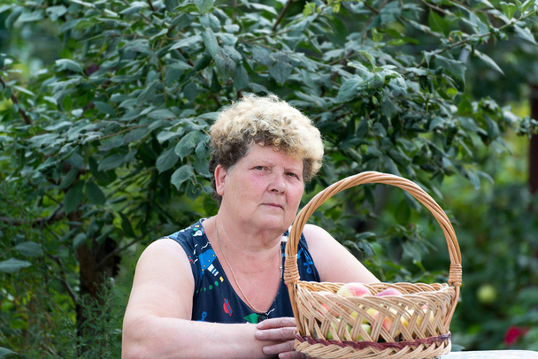 elderly woman with  basket of apples in the garden - Fotó, kép