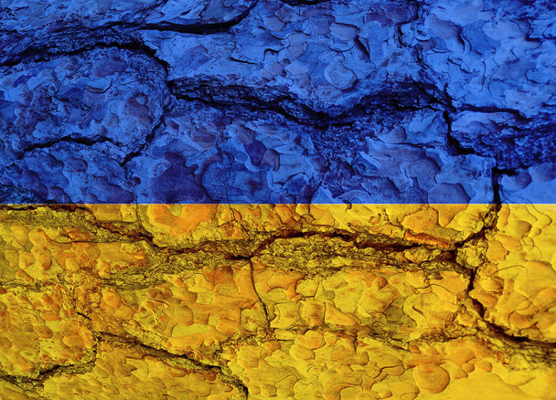 Blue and yellow national Ukrainian flag wallpaper and background. High quality photo - Foto, Imagen