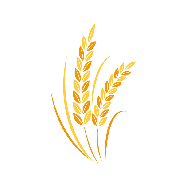 Rice symbol. Wheat symbol vector. wallpaper. logo design. - ベクター画像