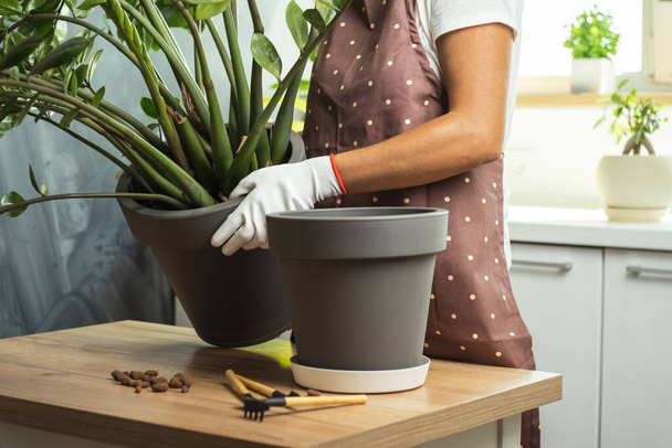 Young woman transplanting a houseplant into a new flower pot in a modern kitchen. Gardener in white gloves wearing apron and taking care of home plants. - Foto, Imagem