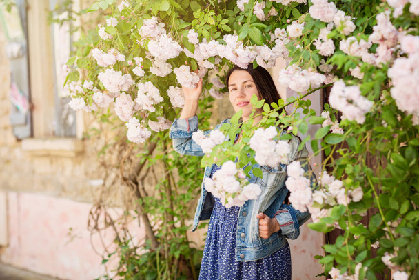 Lifestyle portrait of young stylish woman staying on the street in old town and touching the flowers of white roses, wearing blue dress and denim jacket - Foto, afbeelding