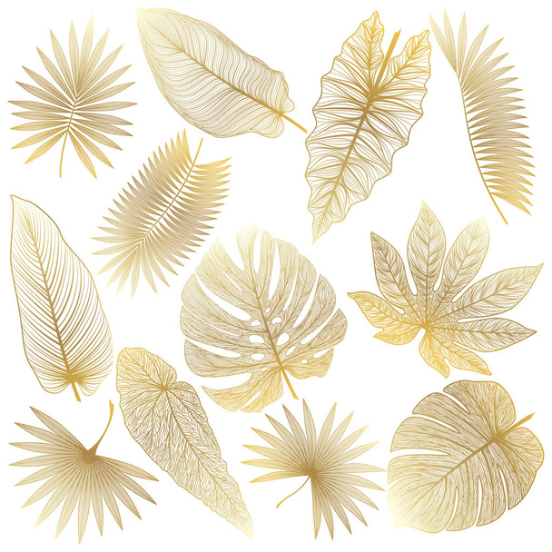 set of leaves, watercolor illustration - ベクター画像