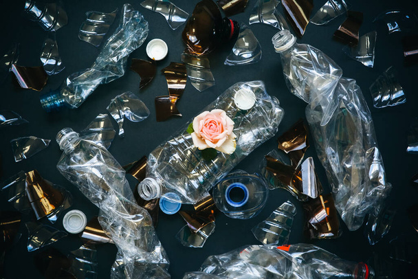Plastikowe butelki leżące na stosie z kwiatem. Zanieczyszczenie środowiska. Katastrofa ekologiczna. Problem recyklingu. - Zdjęcie, obraz