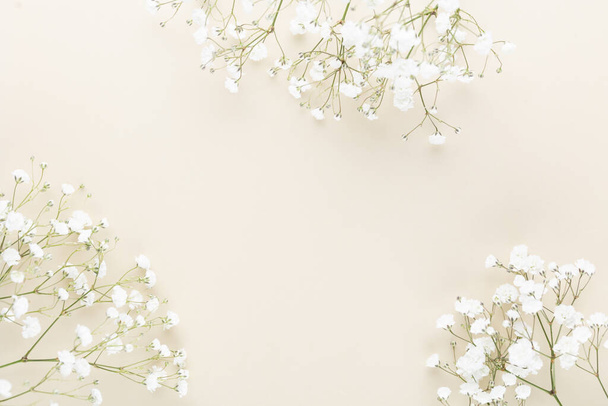 Gypsophila flowers on pastel background. Flat lay, top view, copy space. - Фото, изображение