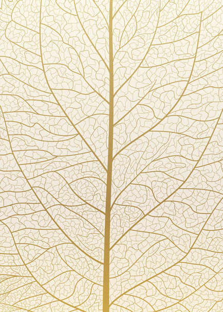 Wzór liści na białym tle - Wektor, obraz