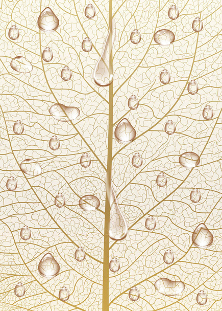 a levelek elvont háttere - Vektor, kép