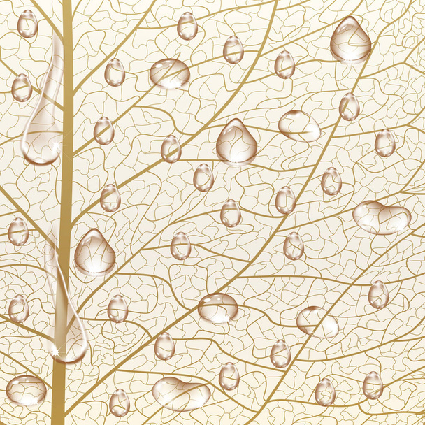 hojas de otoño sobre un fondo blanco - Vector, Imagen