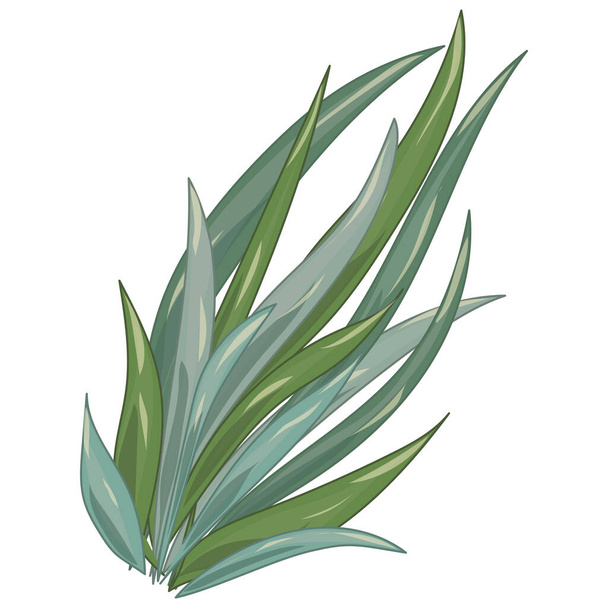 зелене листя рослини ізольовані на білому тлі
 - Вектор, зображення