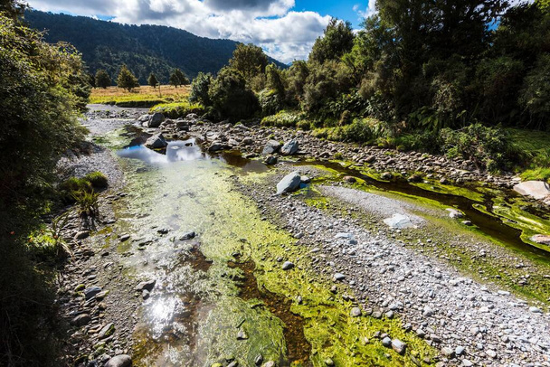 A rocky trail leading to Lake Matheson Walk in South Island, New Zealand - Zdjęcie, obraz