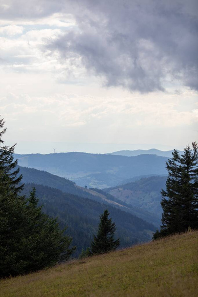 A vertical shot of grassy hills with coniferous trees under a cloudy sky - Φωτογραφία, εικόνα