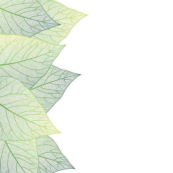 zielone liście odizolowane na białym tle - Wektor, obraz