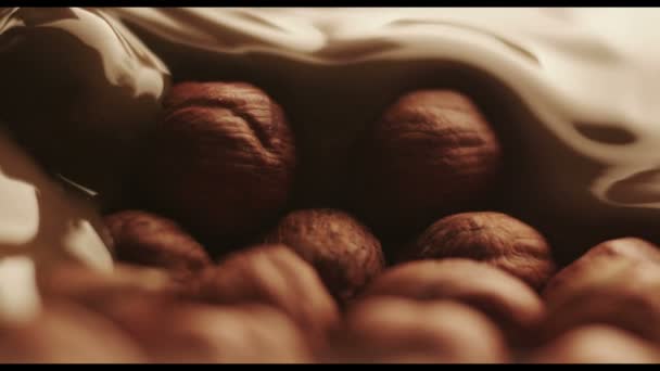 Reálné kapaliny čokoláda pokrývá lískové ořechy - Záběry, video