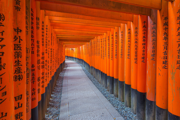  Santuario de Fushimi Inari en Kyoto, Japón
. - Foto, Imagen