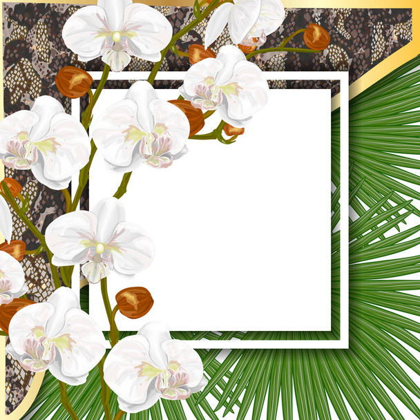tropical flowers and leaves, frame for design - Vector, Image