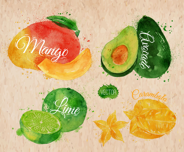 Exotisch fruit aquarel mango, avocado, carambola's, kalk in kraft - Vector, afbeelding