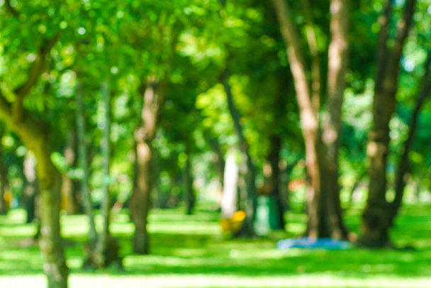 Streszczenie rozmazane zielony park miejski z drzewa bokeh natura tło - Zdjęcie, obraz