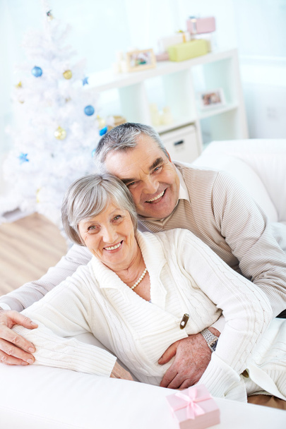 Senior couple at home on Christmas - Photo, Image