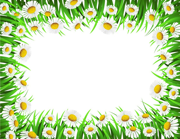 bloem en gras frame - Vector, afbeelding